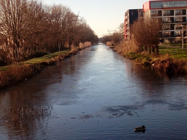 The Northern Merenwijk is a nice neighborhood in Leiden.