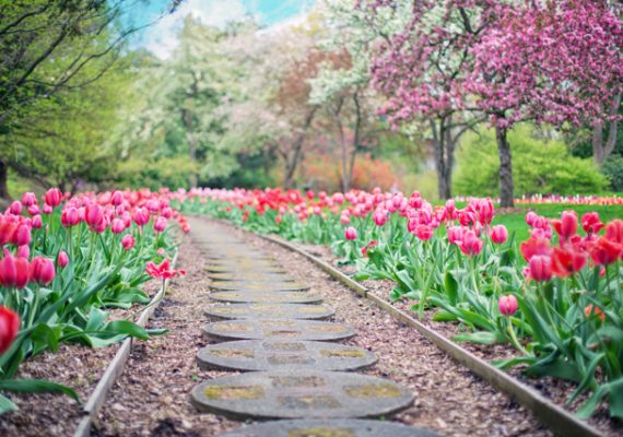 Things to do in Amsterdam include taking a stroll in the Vondel park.