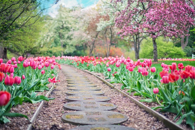 Things to do in Amsterdam include taking a stroll in the Vondel park.