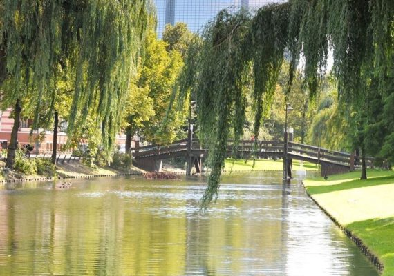photo : 