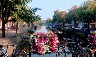 Visiting Leiden on a holiday will help you see many canals.