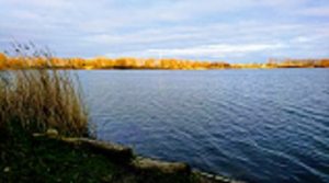 While Visiting Leiden on a holiday , you can also visit the Merenwijk with many lakes and water bodies.