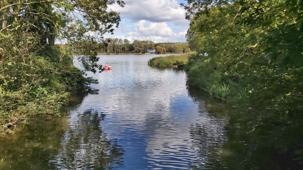 The Biesbosch national park is one of the grand things to see in Delft and its vicinity.